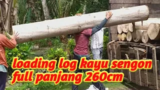 loading log kayu sengon full panjang 260cm