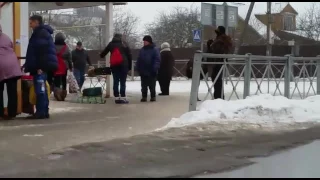 Жители посёлка в Ленобласти не обратили внимания на страуса, гуляющего у киосков