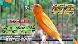 Kenari GACOR‼️ Masteran Burung Kenari PAUD dan Pancingan Kenari MACET BUNYI ( EPISODE 1251}