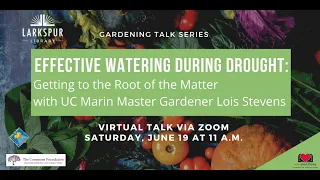 Effective Watering During Drought with UC Marin Master Gardener Lois Stevens