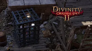 Пленный эльф  Divinity: Original Sin 2 #5