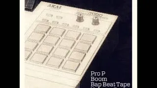 PRO P Boom Bap Beat Tape Volume 5 (Instrumental Album)