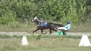 1й заезд, Новосибирский ипподром, 31 08 2019