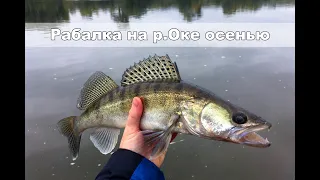 Рыбалка на Оке. Ловля судака на джиг осенью. Спиннинговая ловля с берега.