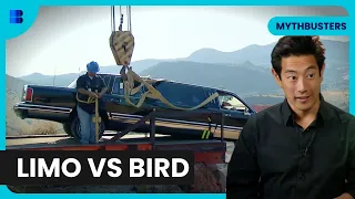 Limo Cliffhanger Chaos - Mythbusters - S07 EP21 - Science Documentary