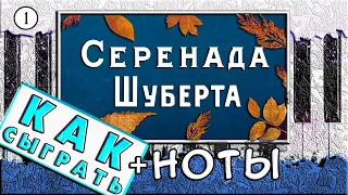 Шуберт - Серенада На Фортепиано УРОК + НОТЫ 🎹 Как Играть На Пианино