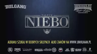 17.  Paluch - W drodze do lepszego jutra (prod. Matheo)