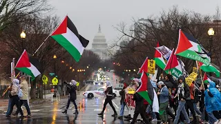 Protestas masivas pro-Palestina y ocupaciones en universidades