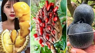 10 Frutas Exóticas Mais RARAS e INCRÍVEIS do Mundo - Parte 1 | Exotic Fruits of the World