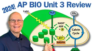 AP Bio Exam Ultimate Review: Unit 3. Cellular Energetics.