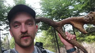 Freak Moose Antlers - 12 Sheds in a Day - Canada Day 3 | Beyond the Boundaries