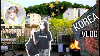 Наши корейские будни / KOREA VLOG /