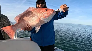 Offshore Fishing Texas Style - Everything BIG in Texas/Red snapper SAGA continues.