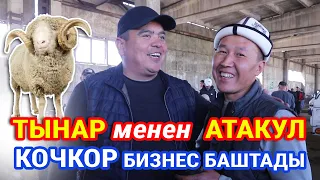 КОЧКОРЛОР ЯРМАРКАСЫ катуу кызыды  ~  Арашан, Гисар, Афган койлору келди