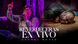 Chanel Novas en Vivo | Reverdecerás - poderosa ministración