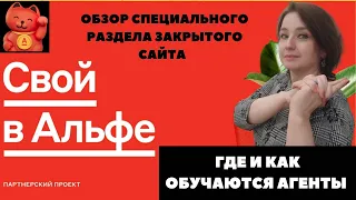 Обучение агента проекта Свой в Альфа банке