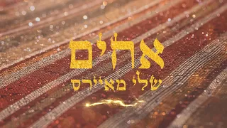 שלי מאיירס | אחים l Joseph and his-Brothers-Achim I Sheli Myers I CC For English