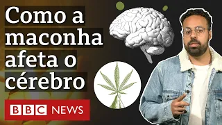 O impacto da maconha na cognição e psicologia, segundo estudos