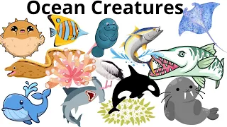 Ocean Creatures| Ocean Wonders - Dive Into Marine Life with Kids Storybook Cottage