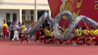 Dragon Dance competition in Kunshang, Shanghai 2013