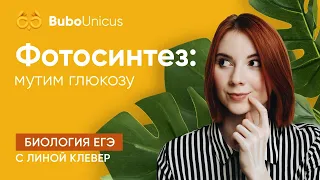 Фотосинтез | БИОЛОГИЯ ЕГЭ | Лина Клевер