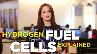 Fast Lane: Hydrogen Fuel Cells Explained