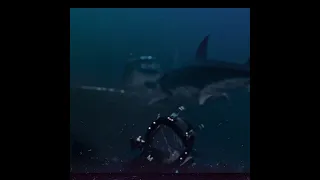 Mako (2021)  Shark Movie