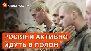 РОСІЯНИ АКТИВНО ЗДАЮТЬСЯ В ПОЛОН: що відбувається далі і хто йде на обмін? / Апостроф тв