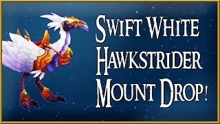 Swift White Hawkstrider Mount Drop! (World Of Warcraft)