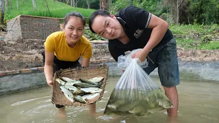 husband & wife together catch more fish and release them in the pond, 6 years together | Hoang Huong