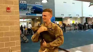 A local soldier reunites with a puppy he cared for in Syria