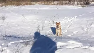 Смотри не упади там...