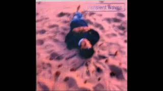 Transient Waves - Soulspace