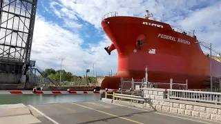 Federal Sakura and Algosea ships crossing Welland Canal Bridge 3A (Carlton St./Lock 2)