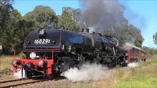 NSW Steam Locomotive 6029