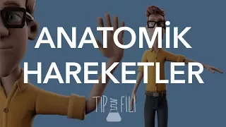 Anatomik hareketler 3d animasyonlu anlatım..