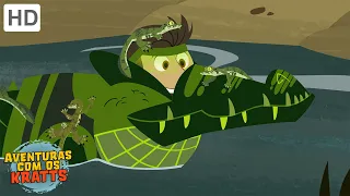 Aventuras com os Kratts - Mamãe Crocodilo (Episódio Completo - HD)