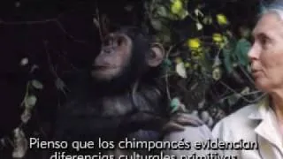 Entrevista a Jane Goodall