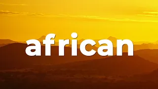 🦓 Copyright Free African Music - "Happy African Village" by John Bartmann 🇿🇦