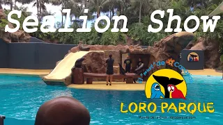 Sealion Show : Loro Parque Tenerife