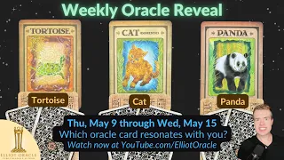Weekly Oracle Reveal 🔮✨ | Tarot Reading for May 9 to May 15 | Elliot Oracle 🐢 🐈 🐼