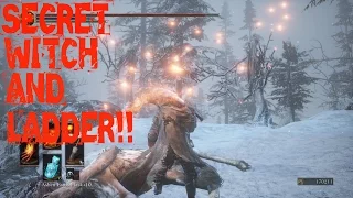 Dark Souls 3 DLC ashes of Ariandel -Secret Witch Tree, Secret ladder, and Snap freeze location.