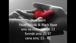 Zkus slevit - Pavel Novák & Black Rose (c) 2017