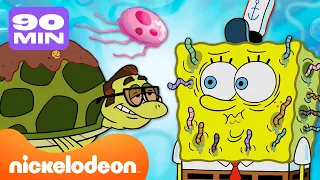 Todas las mascotas y animales en Fondo de Bikini | Compilación de 80 minutos | Nickelodeon
