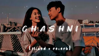 CHASHNI - Bharat | Chashni Song | (slowed and reverb)