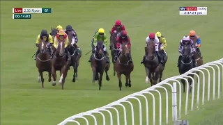 How on earth did this horse win?!