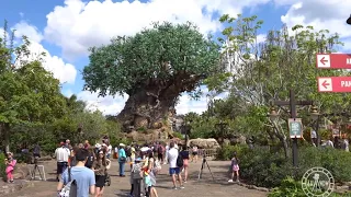 Disney's Animal Kingdom 2019 4K Full Complete Walkthrough Tour | Walt Disney World Orlando Florida