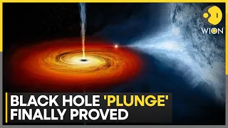 Scientists unveil Black Hole's plunge, bizarre region around black holes found | Latest News | WION