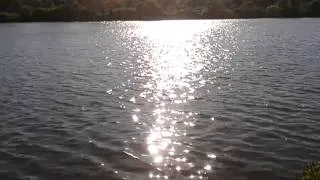 La reflexion del sol en el agua