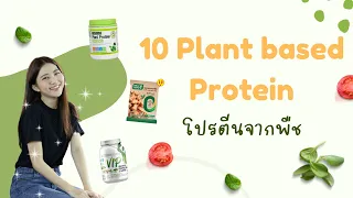 Plant Based Protein ยี่ห้อไหนดี รวมโปรตีนจากพืช | mybest